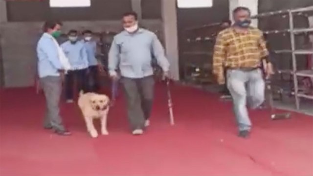 Police team searches Mahakal temple with dog squad