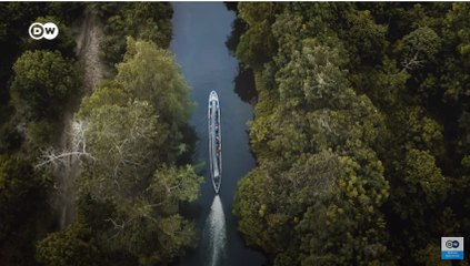 Jual Karbon dari Lahan Gambut Kalimantan ke Perusahaan Pencemar Lingkungan