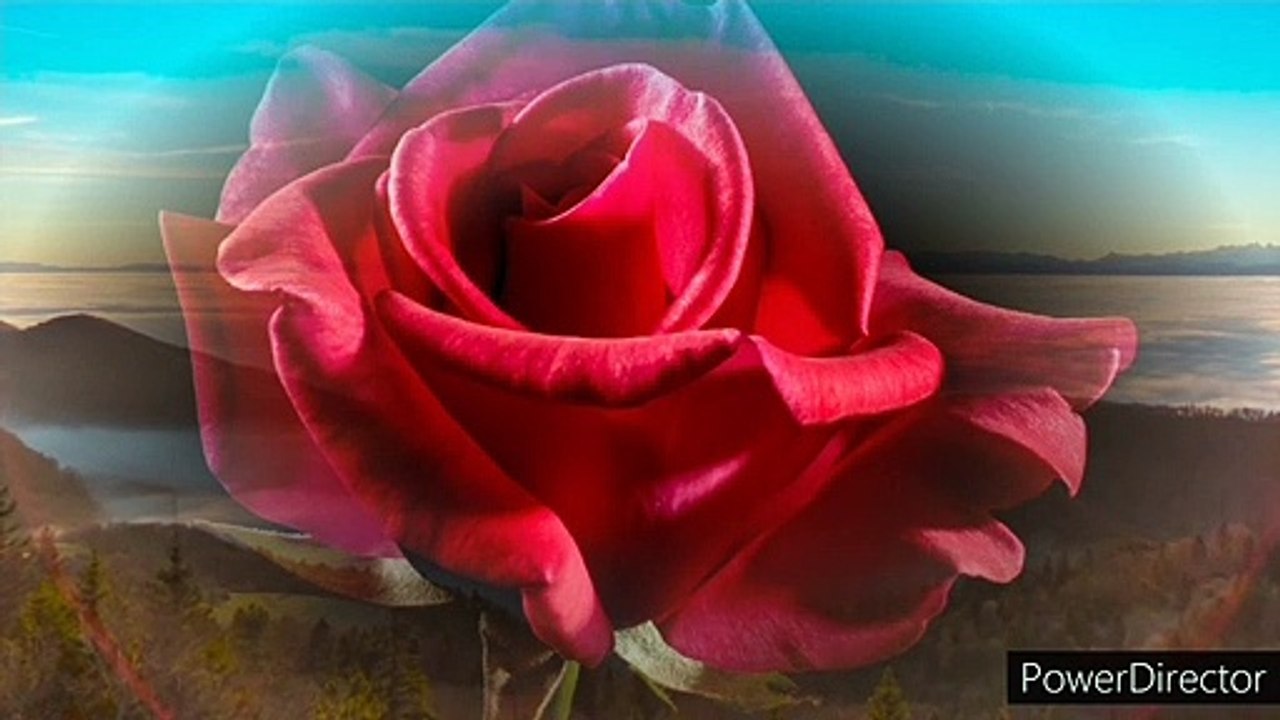 Integridade de jó  e a  decisão de sua mulher