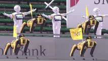 Robo-fans cheer for Japanese baseball team in stadium cleared to fight coronavirus pandemic