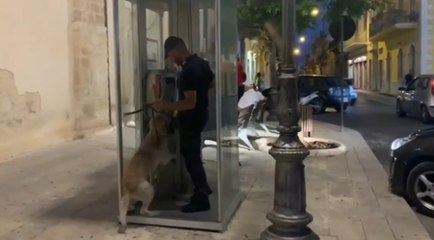 下载视频: Ragusa - Controlli tra Santa Croce Camerina e Marina: un arresto per aggressione (09.07.20)