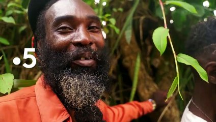 [BA] Eté - Découverte et voyages