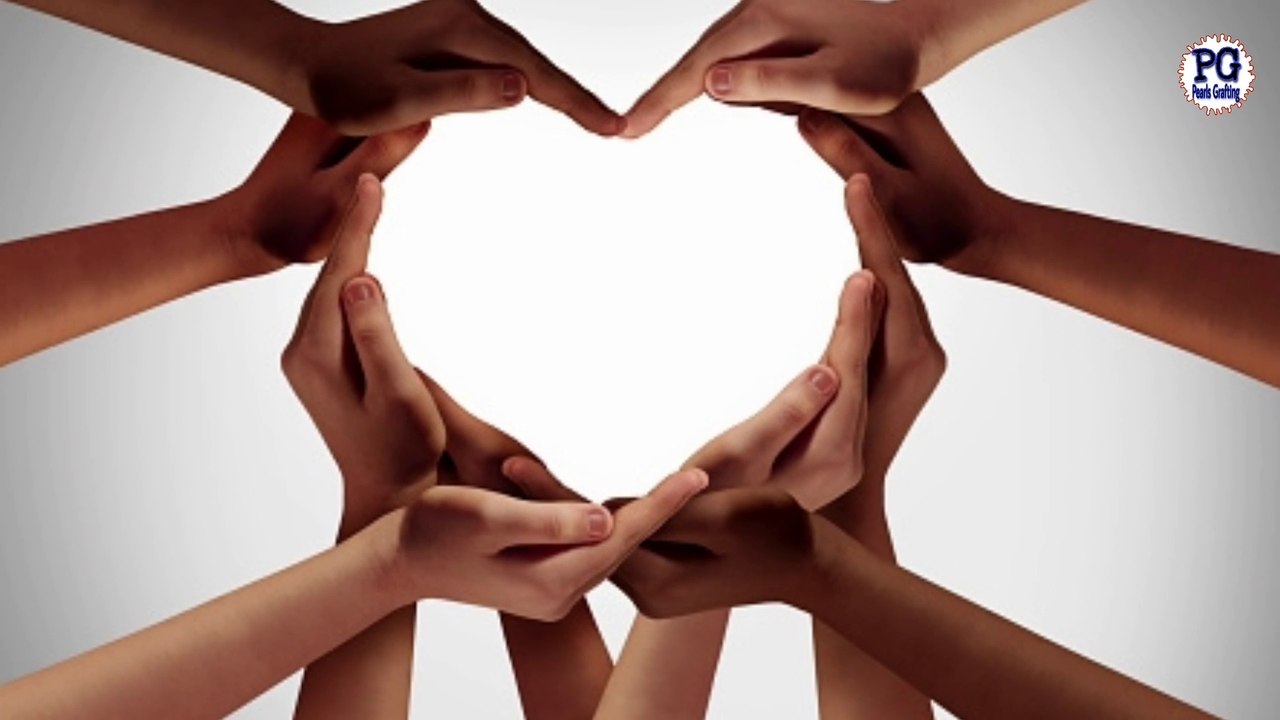 Yaqin sy barh k bharosa|How to make a strong relationship with ALLAH|Yaqin kia h|bharosa kia h|پرلز گرافٹنگ