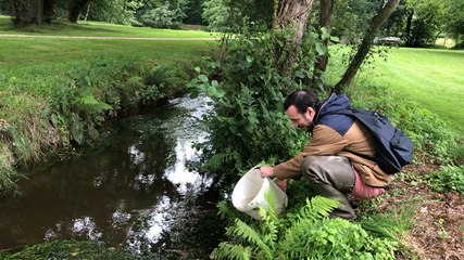L’inventaire piscicole grâce à la pêche  électrique