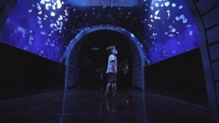 Abre el mayor tanque acuático panorámico japonés para rodearse de medusas