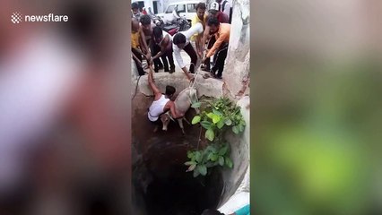 Locals rescue calf stranded inside water well in central India