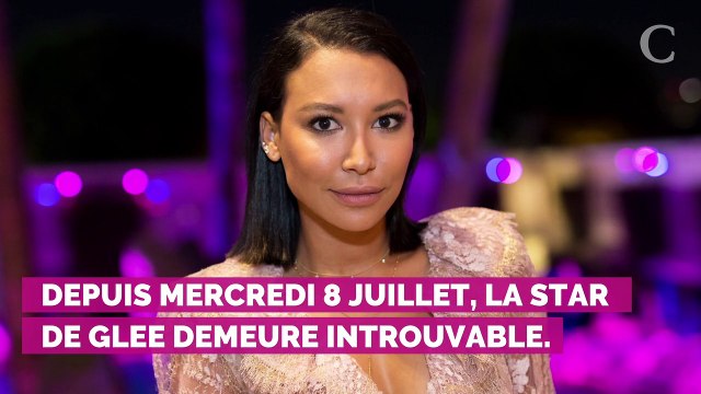 Naya Rivera portée disparue : qui est Ryan Dorsey, son ex-mari et le père de son fils ?