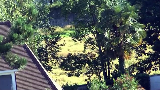 LES W-D.D. MICHOU64 NEWS - 5 JUILLET 2020 - PAU - CRÉATION D'UN JARDIN HUMAIN DERRIÈRE L'ÉGLISE SAINTE THÉRÈSE