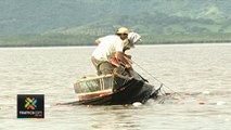 tn7-pescadores-y-molusqueros-piden-ayuda-a-gobierno-090720