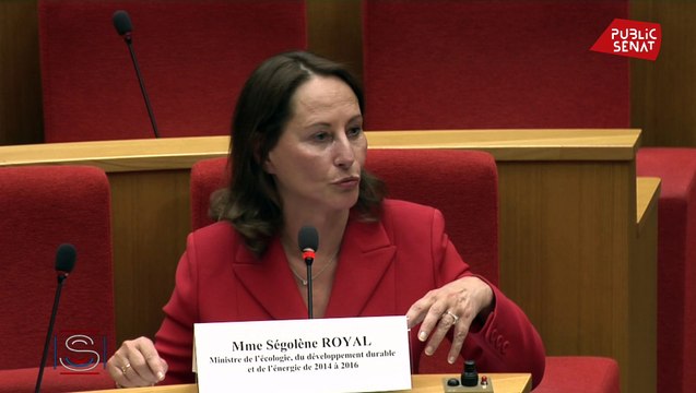 Ségolène Royal : « Les concessions autoroutières ont eu le beurre et l’argent du beurre »
