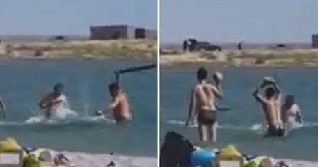 Kazakhstan : un phoque battu par des vacanciers pour que des enfants prennent des photos avec lui
