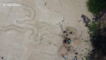 Marine officers move leatherback turtle's eggs from beach to safe position in Thailand