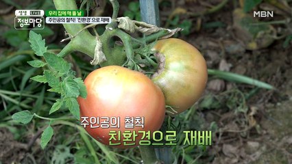 암을 극복하려고 텃밭을 관리하다!