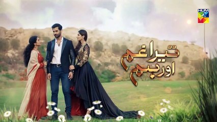 Tera Ghum Aur Hum Episode 5 Promo HUM TV Drama