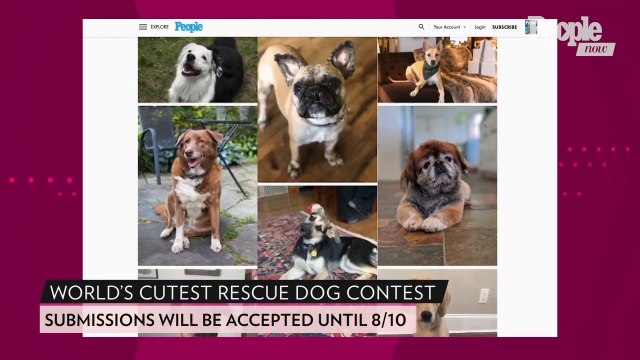 The World's Cutest Rescue Dog Contest Is Back to Turn Your Adorable Shelter Dog into a Star