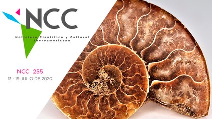 Noticiero Científico y Cultural Iberoamericano, emisión 255. 13 al 19 de Julio 2020