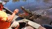 Il nourrit un énorme crocodile sauvage à la main depuis son bateau