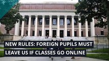 New rules: Foreign pupils must leave US if classes go online, and other top stories from July 09, 2020.