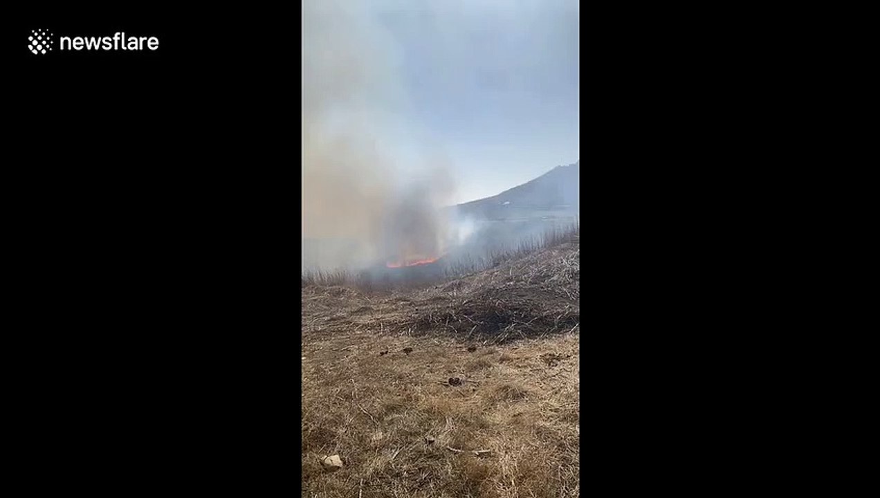 Brush fire in San Pedro, California moves rapidly up hillside