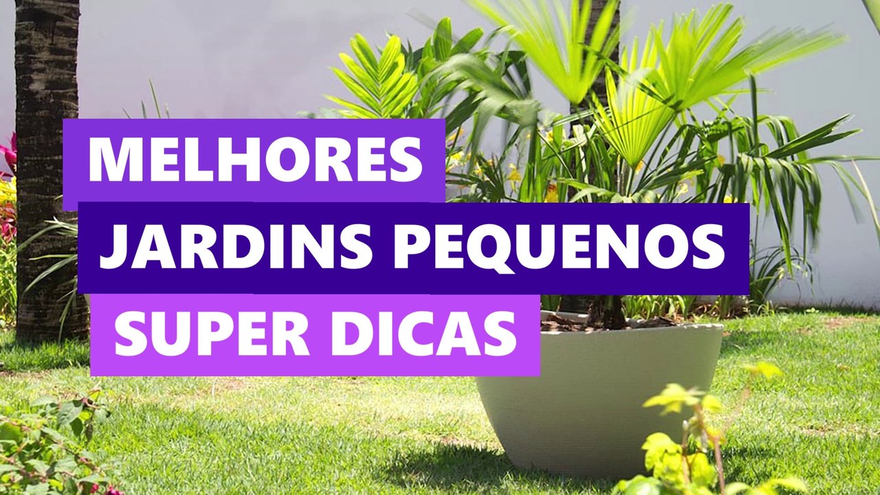 Melhores Jardins Pequenos e Baratos para Casas Simples • Lolafá