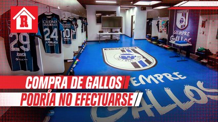 Compra de Gallos Blancos podría no efectuarse