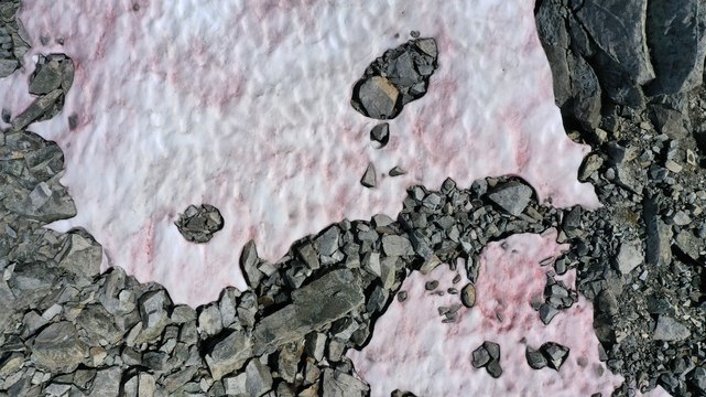 El misterio del glaciar ‘pintado’ de rosa en los Alpes italianos