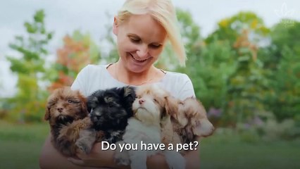 5 Tips to Keep Your Pets Safe and Happy