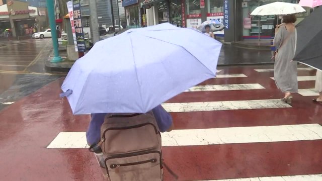 [날씨] 영동, 영남 해안 호우특보...최고 200mm↑ 폭우 / YTN
