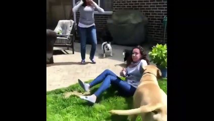 Best funny fails || Funny Public Fails || Epic fail video