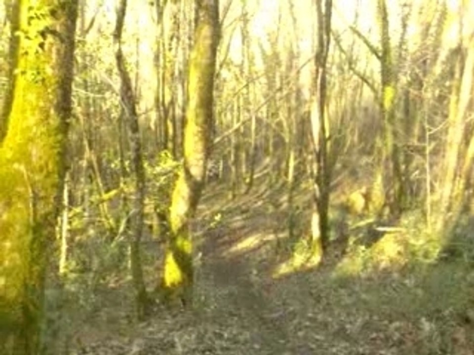 enduro david dans la descente qui fait peur