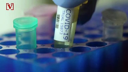 Скачать видео: Researchers’ Findings Suggests Coronavirus Existed Globally Months Before It Was Discovered in China