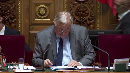 08.07.2020 - Jacqueline Eustache-Brinion interroge le ministre de l'Intérieur