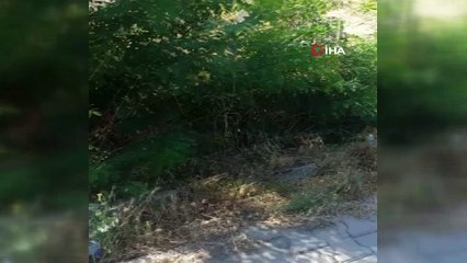 Evinin bahçesi çöplüğe dönen vatandaş: 'Havadan mı geliyor bu çöpler?'