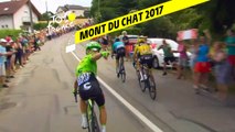 Tour de France 2020 - Un jour Une histoire : Mont du Chat 2017
