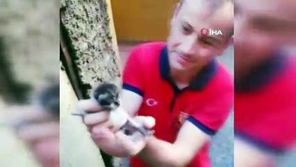 Kedinin imdadına ekipler yetişti