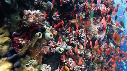 Mengenal Indahnya Pulau Pura