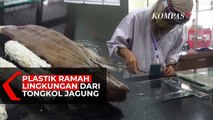 Plastik Ramah Lingkungan Buatan Mahasiswa Politeknik Negeri Jember