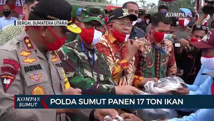 Polda Sumatera Utara Panen 17 Ton Ikan Patin