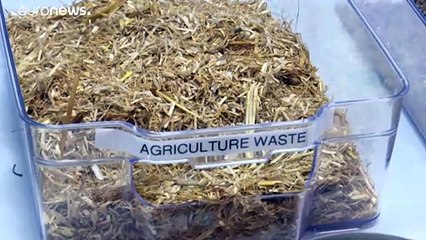 شاهد: علماء إسرائيليون يستخدمون النفايات في محاربة فيروس كورونا