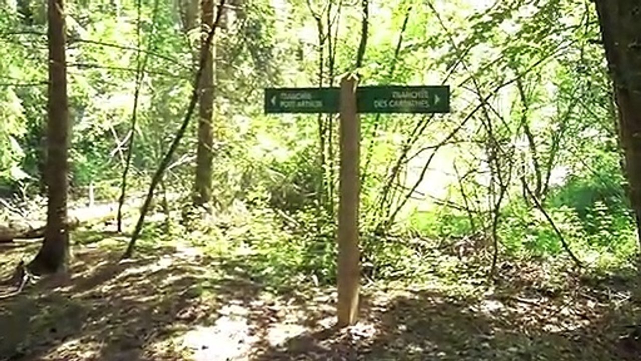 Verdun, Passchendaele, Ypres WWI The Final Post Belgium and France