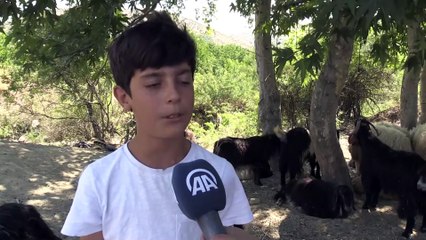 Adıyamanlı Barış, hediye edilen kuzularına gözü gibi bakıyor