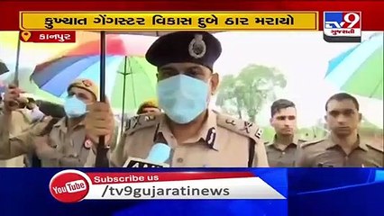 Gangster Vikas Dubey killed in an encounter in Kanpur- Witness says he heard some fire shots