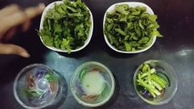 Mint Coriander Chutney | How to make green chutney | Hara dhaniya pudina ki chutney recipe in hindi