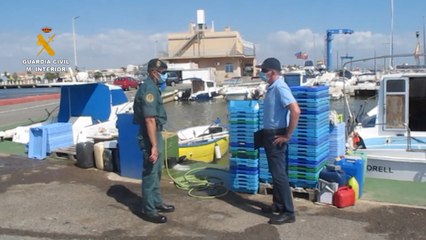 Download Video: Guardia Civil investiga a 4 pescadores por capturar anguilas en Mar Menor