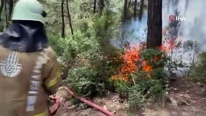 Sarıyer’de 500 metrekarelik alan alev alev yandı