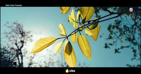 Minar Rahman - Ami To Amoni - আমিতো এমনই - New Official Music Video - Valentine's Day 2019 - YouTube