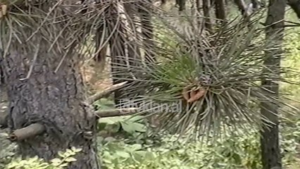 E Diela ne Prishtine me pak mundesi argetimi - (27 Qershor 2000)