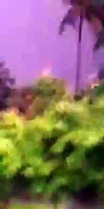 Lightning strikes on the tree || Thunder and Lightning