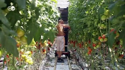 Greenhouse effect- - Global Ideas