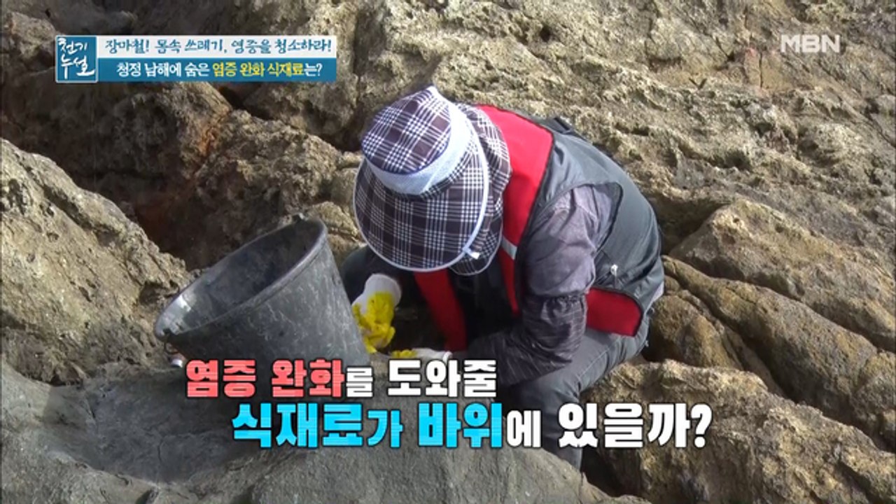 청정 남해에 숨은 염증 완화 식재료는 바로?!